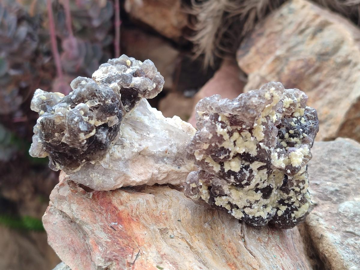 Natural Smokey Fluorite Specimens with Yellow Muscovite Mica x 6 From Erongo, Namibia