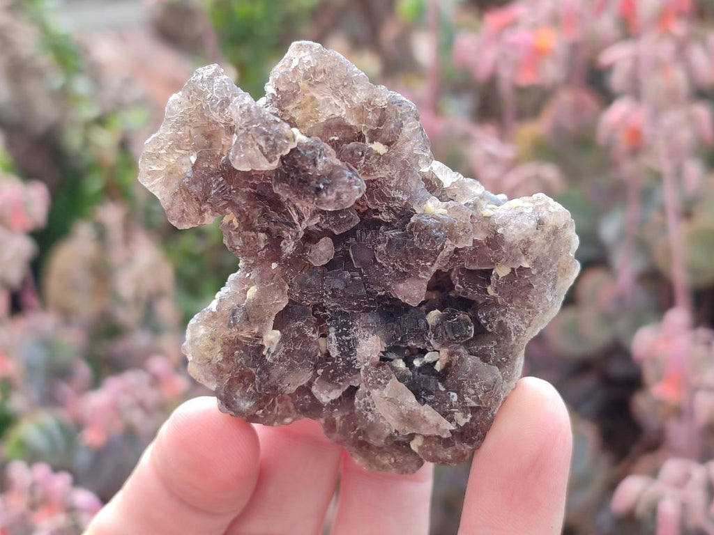 Natural Smokey Fluorite Specimens with Yellow Muscovite Mica x 6 From Erongo, Namibia