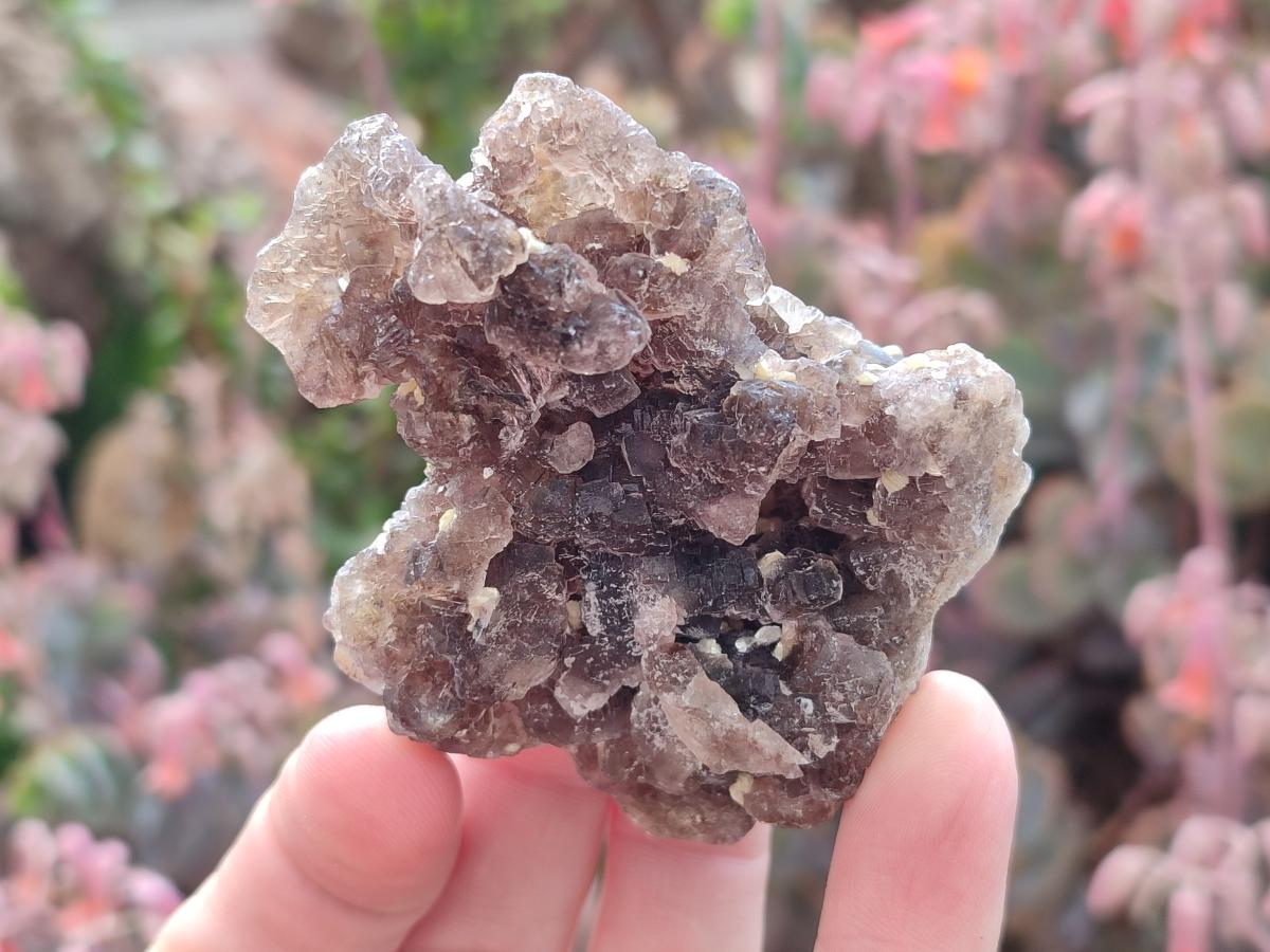 Natural Smokey Fluorite Specimens with Yellow Muscovite Mica x 6 From Erongo, Namibia