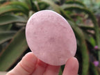 Polished Gemmy Rose Quartz Galets x 12 From Madagascar