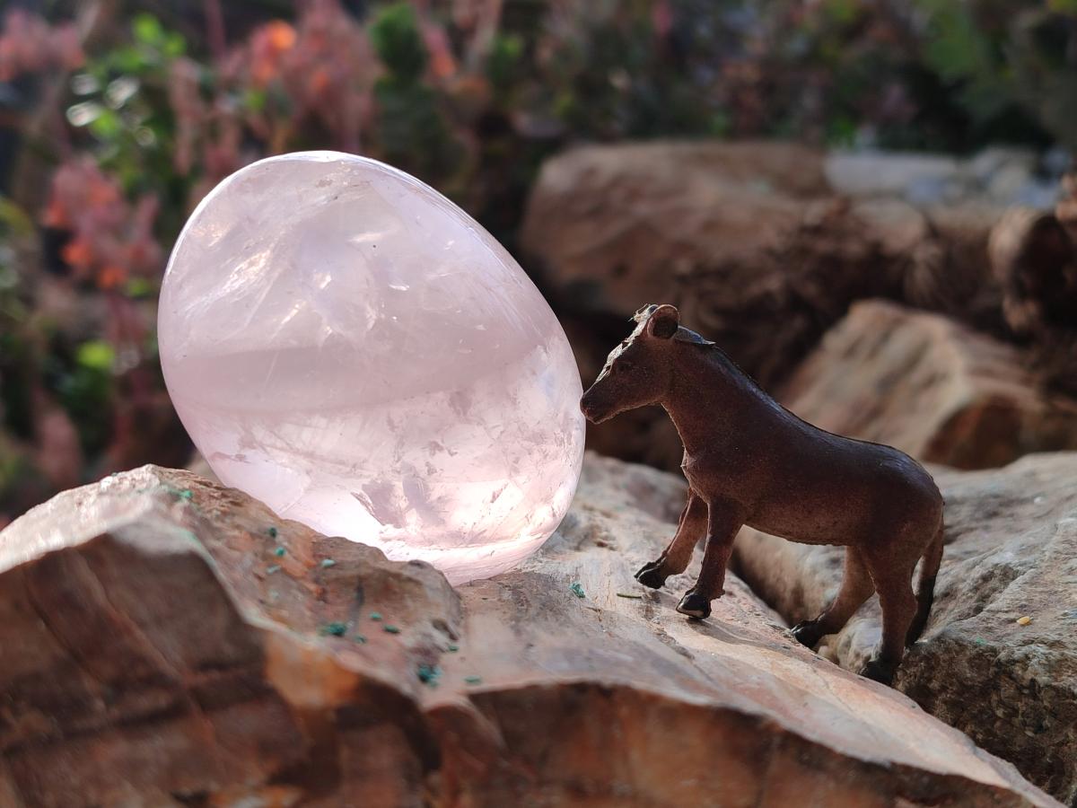 Polished Gemmy Rose Quartz Galets x 12 From Madagascar