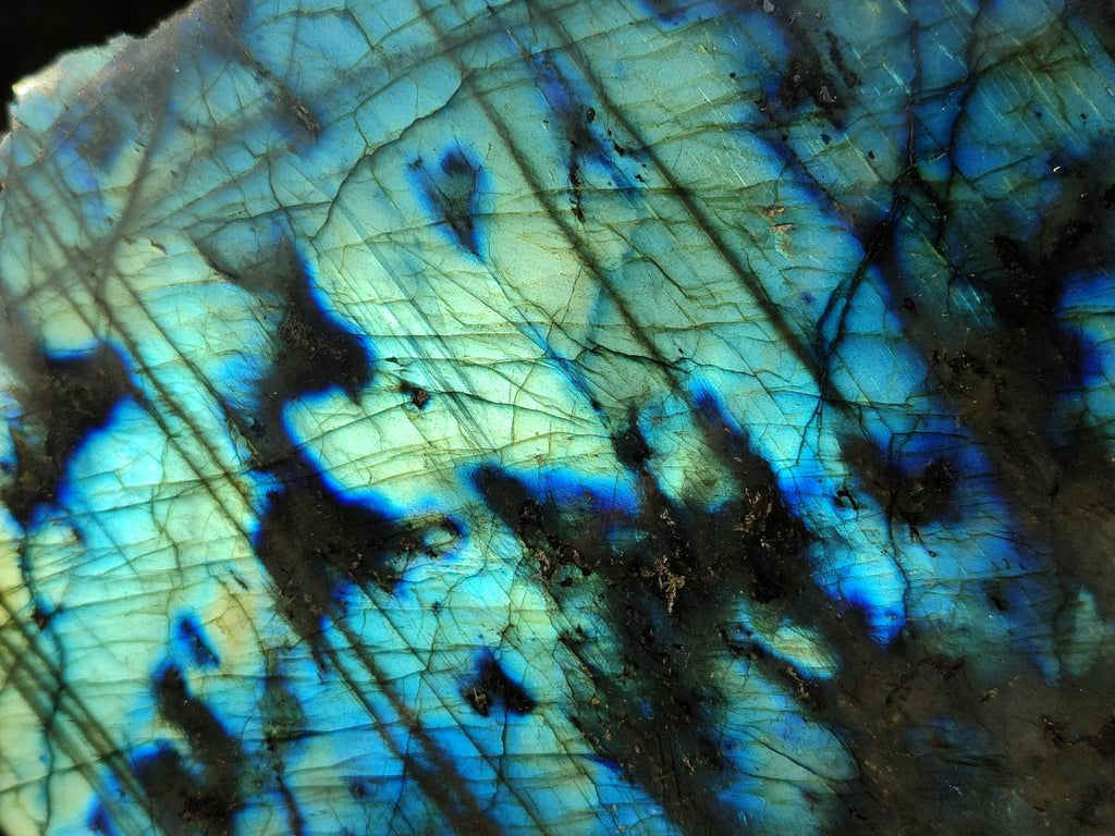 Polished Large One Side Labradorite Slices x 2 From Madagascar
