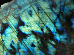 Polished Large One Side Labradorite Slices x 2 From Madagascar