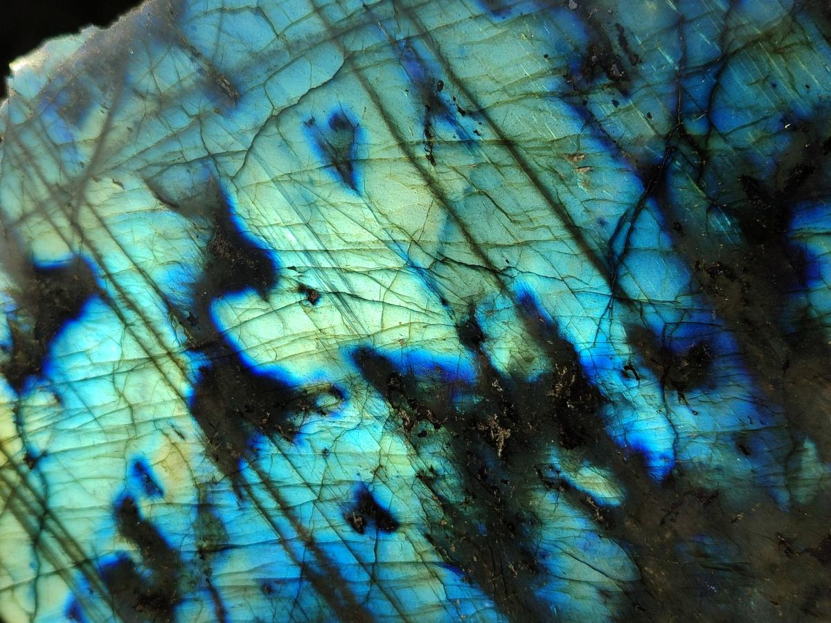 Polished Large One Side Labradorite Slices x 2 From Madagascar