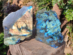 Polished Large One Side Labradorite Slices x 2 From Madagascar