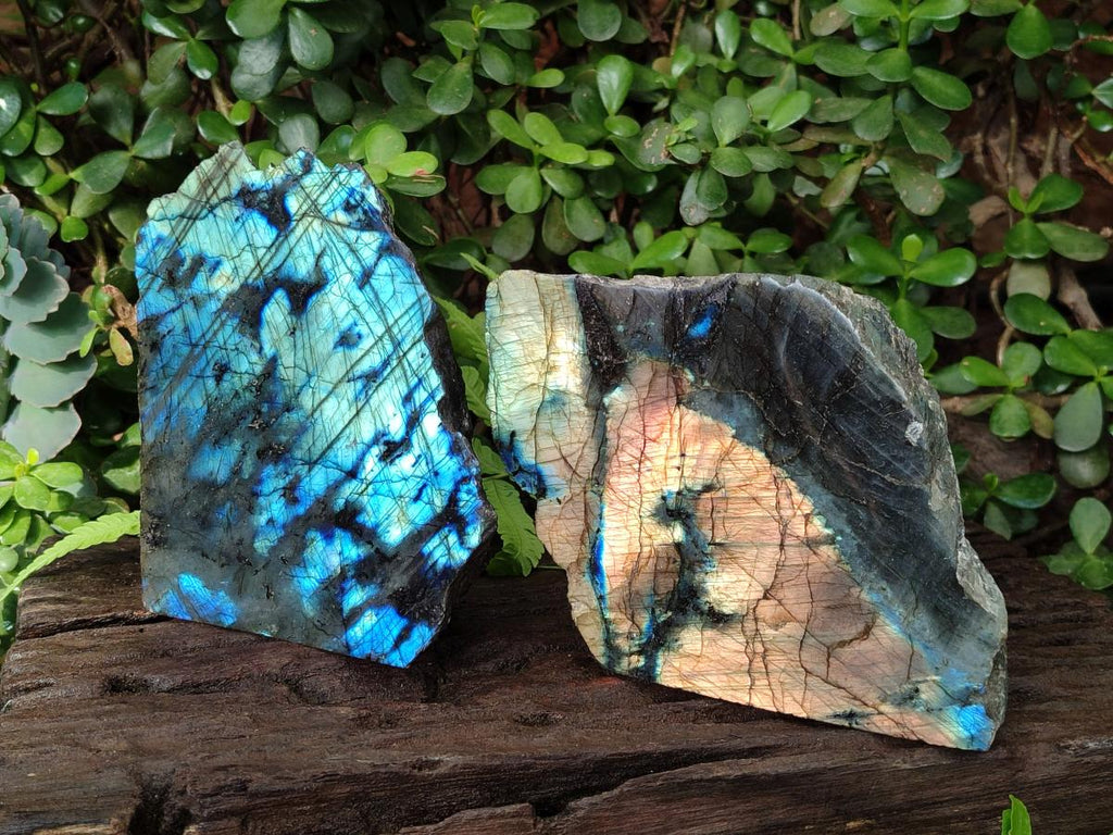 Polished Large One Side Labradorite Slices x 2 From Madagascar