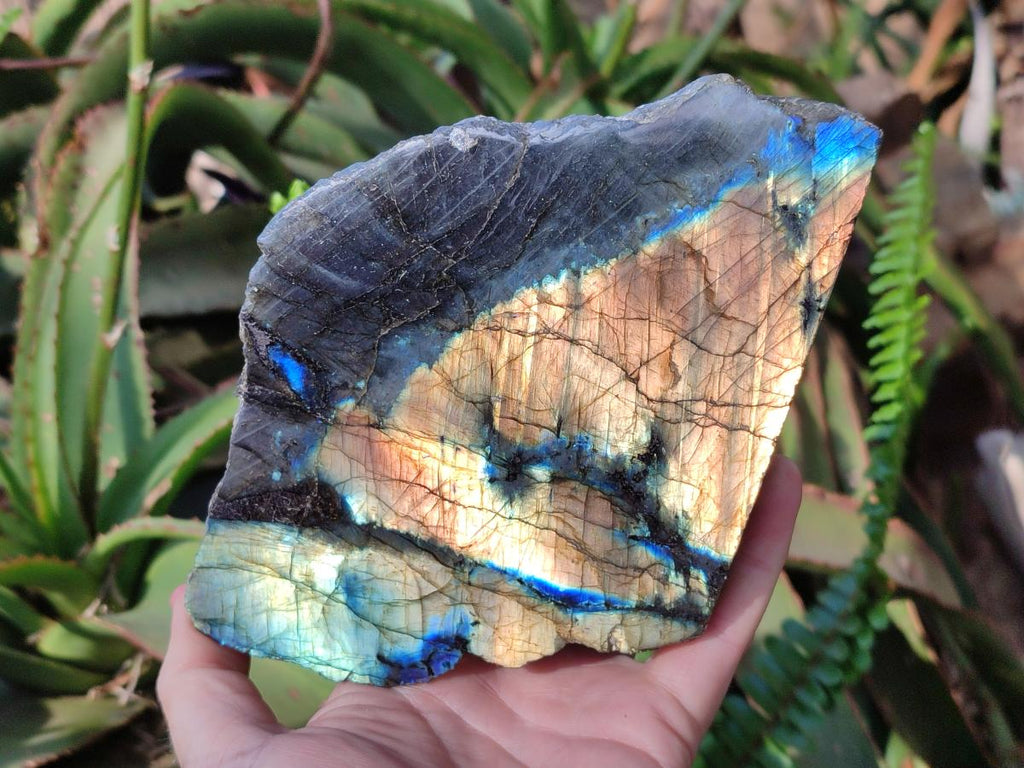 Polished Large One Side Labradorite Slices x 2 From Madagascar