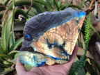 Polished Large One Side Labradorite Slices x 2 From Madagascar