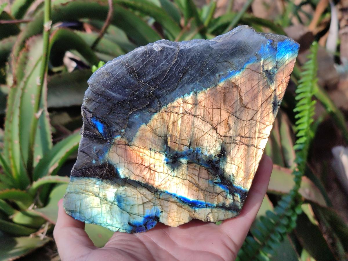 Polished Large One Side Labradorite Slices x 2 From Madagascar