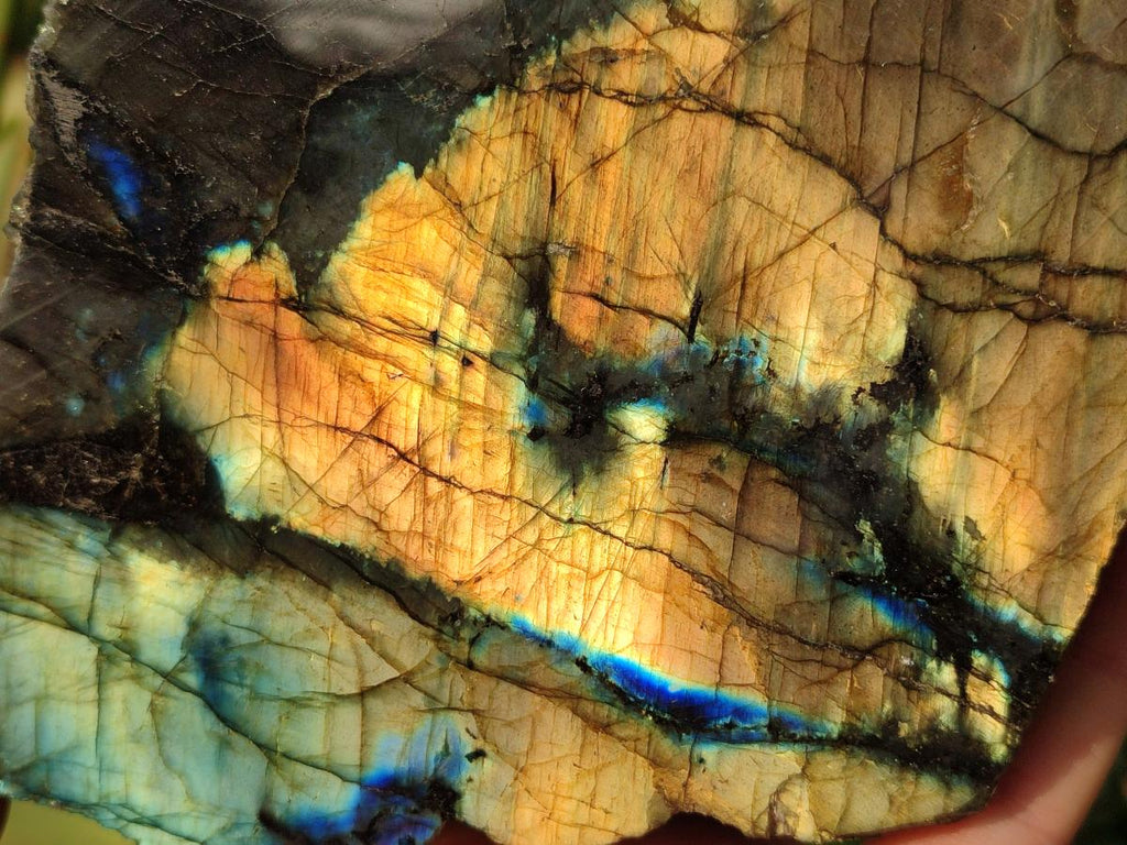 Polished Large One Side Labradorite Slices x 2 From Madagascar