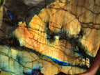 Polished Large One Side Labradorite Slices x 2 From Madagascar