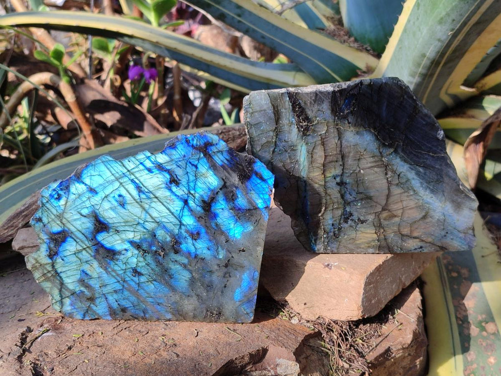 Polished Large One Side Labradorite Slices x 2 From Madagascar