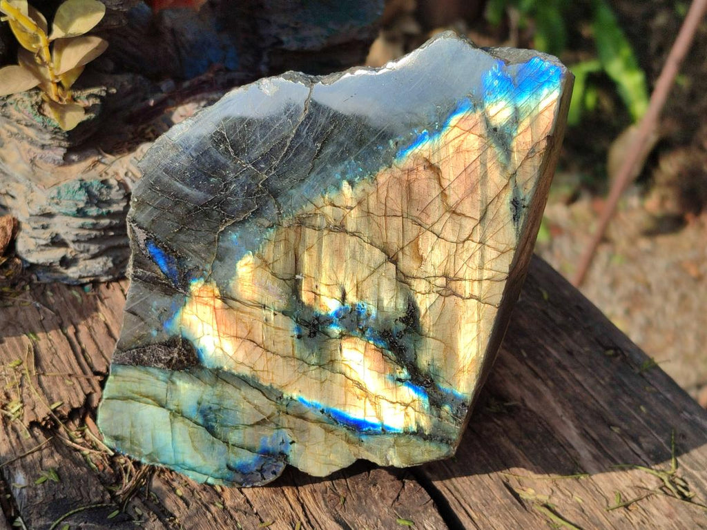 Polished Large One Side Labradorite Slices x 2 From Madagascar