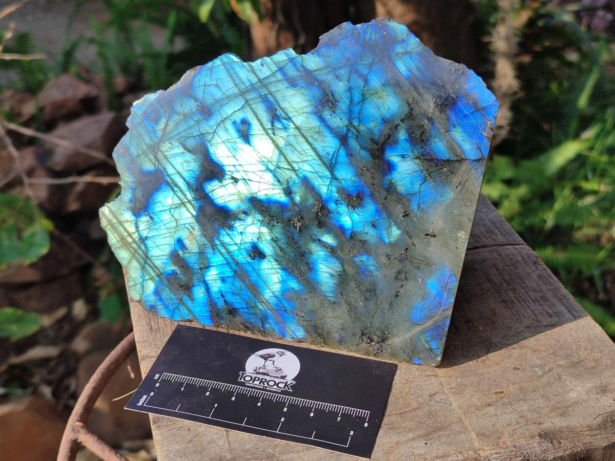 Polished Large One Side Labradorite Slices x 2 From Madagascar