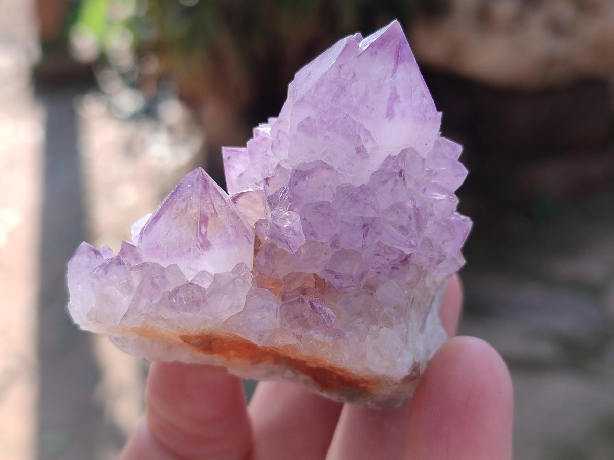 Natural Spirit Amethyst Clusters x 12 From Boekenhouthoek, South Africa