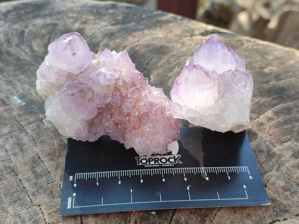 Natural Spirit Amethyst Clusters x 12 From Boekenhouthoek, South Africa