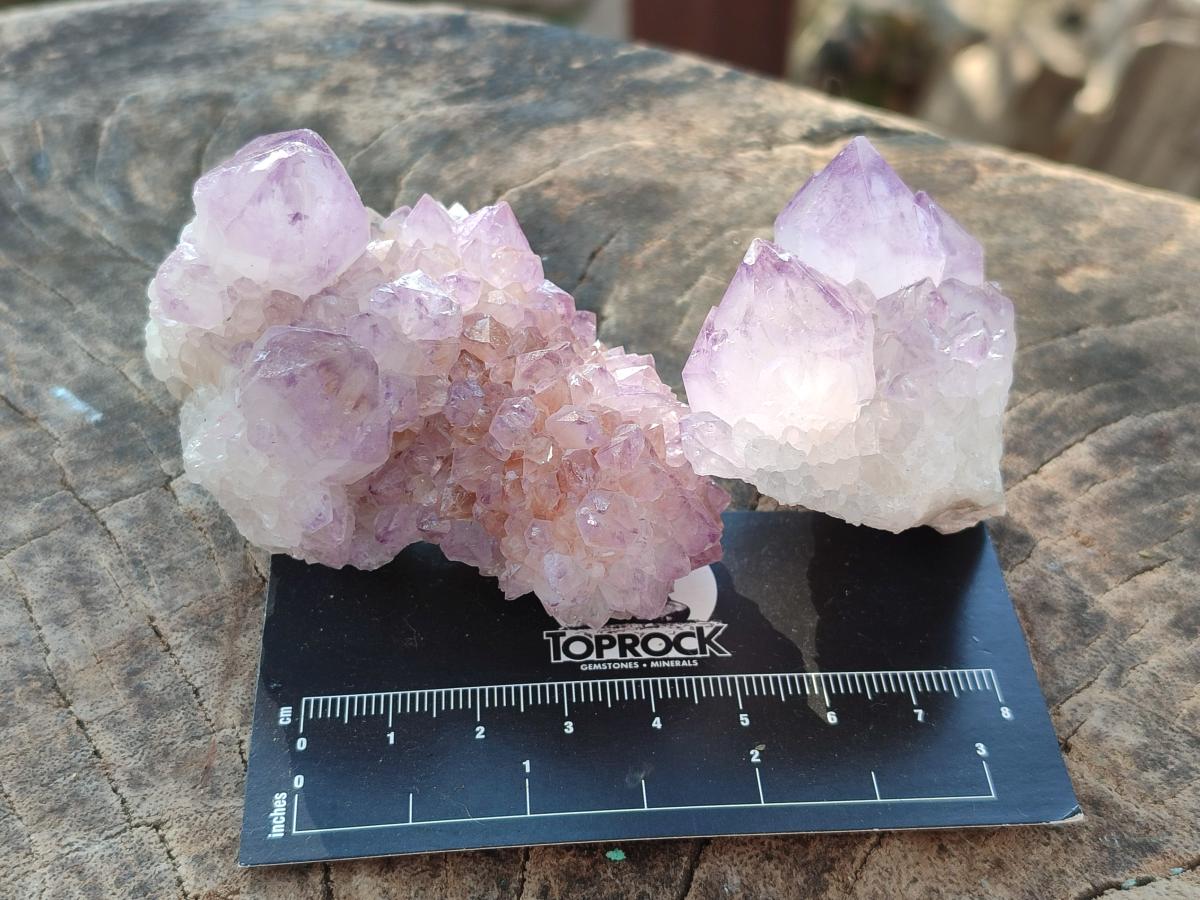 Natural Spirit Amethyst Clusters x 12 From Boekenhouthoek, South Africa