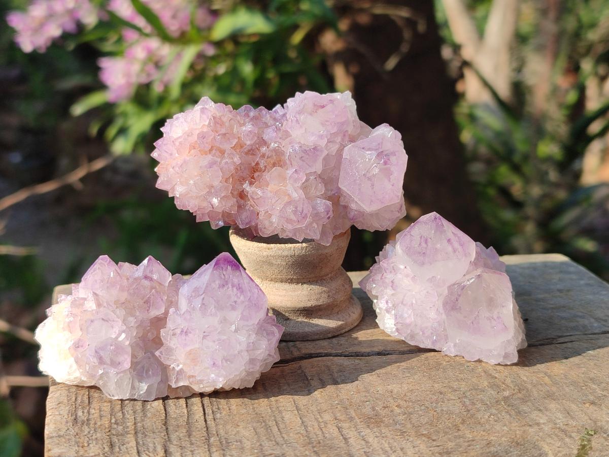 Natural Spirit Amethyst Clusters x 12 From Boekenhouthoek, South Africa