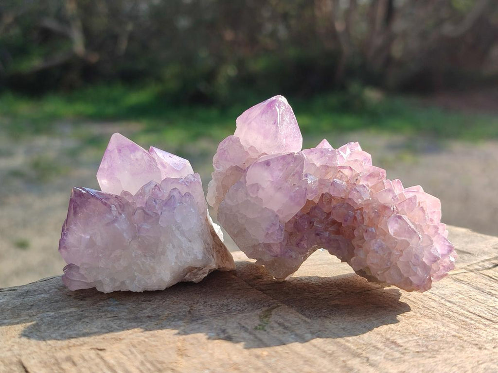 Natural Spirit Amethyst Clusters x 12 From Boekenhouthoek, South Africa