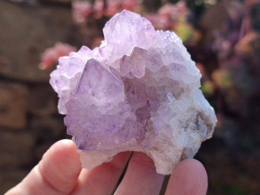 Natural Spirit Amethyst Clusters x 12 From Boekenhouthoek, South Africa