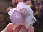 Natural Spirit Amethyst Clusters x 12 From Boekenhouthoek, South Africa