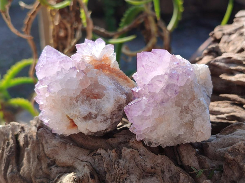 Natural Spirit Amethyst Clusters x 12 From Boekenhouthoek, South Africa