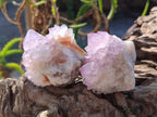 Natural Spirit Amethyst Clusters x 12 From Boekenhouthoek, South Africa