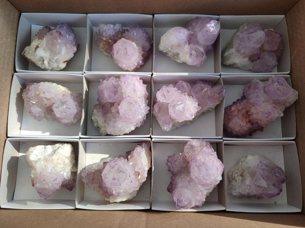 Natural Spirit Amethyst Clusters x 12 From Boekenhouthoek, South Africa