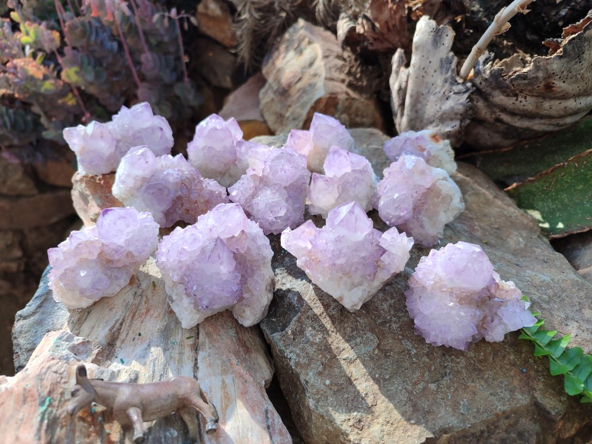 Natural Spirit Amethyst Clusters x 12 From Boekenhouthoek, South Africa