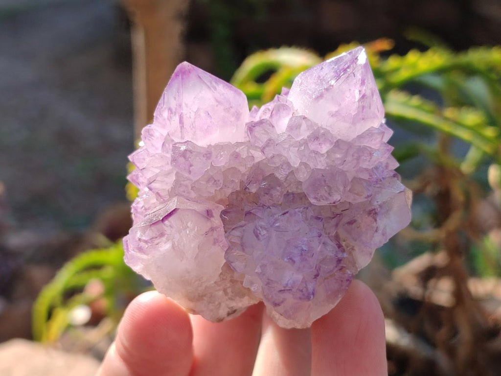 Natural Spirit Amethyst Clusters x 12 From Boekenhouthoek, South Africa