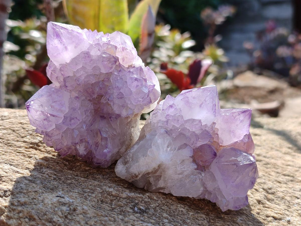 Natural Spirit Amethyst Clusters x 12 From Boekenhouthoek, South Africa