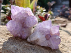 Natural Spirit Amethyst Clusters x 12 From Boekenhouthoek, South Africa