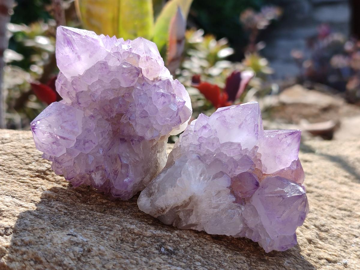 Natural Spirit Amethyst Clusters x 12 From Boekenhouthoek, South Africa