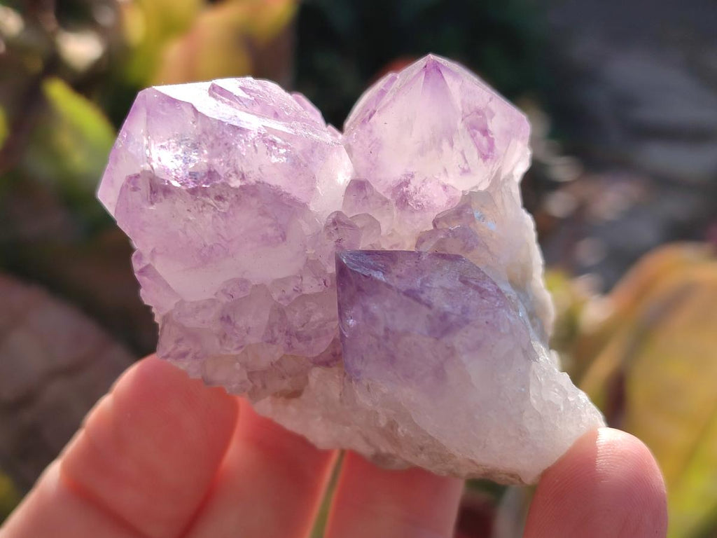 Natural Spirit Amethyst Clusters x 12 From Boekenhouthoek, South Africa