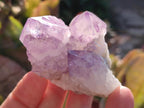 Natural Spirit Amethyst Clusters x 12 From Boekenhouthoek, South Africa