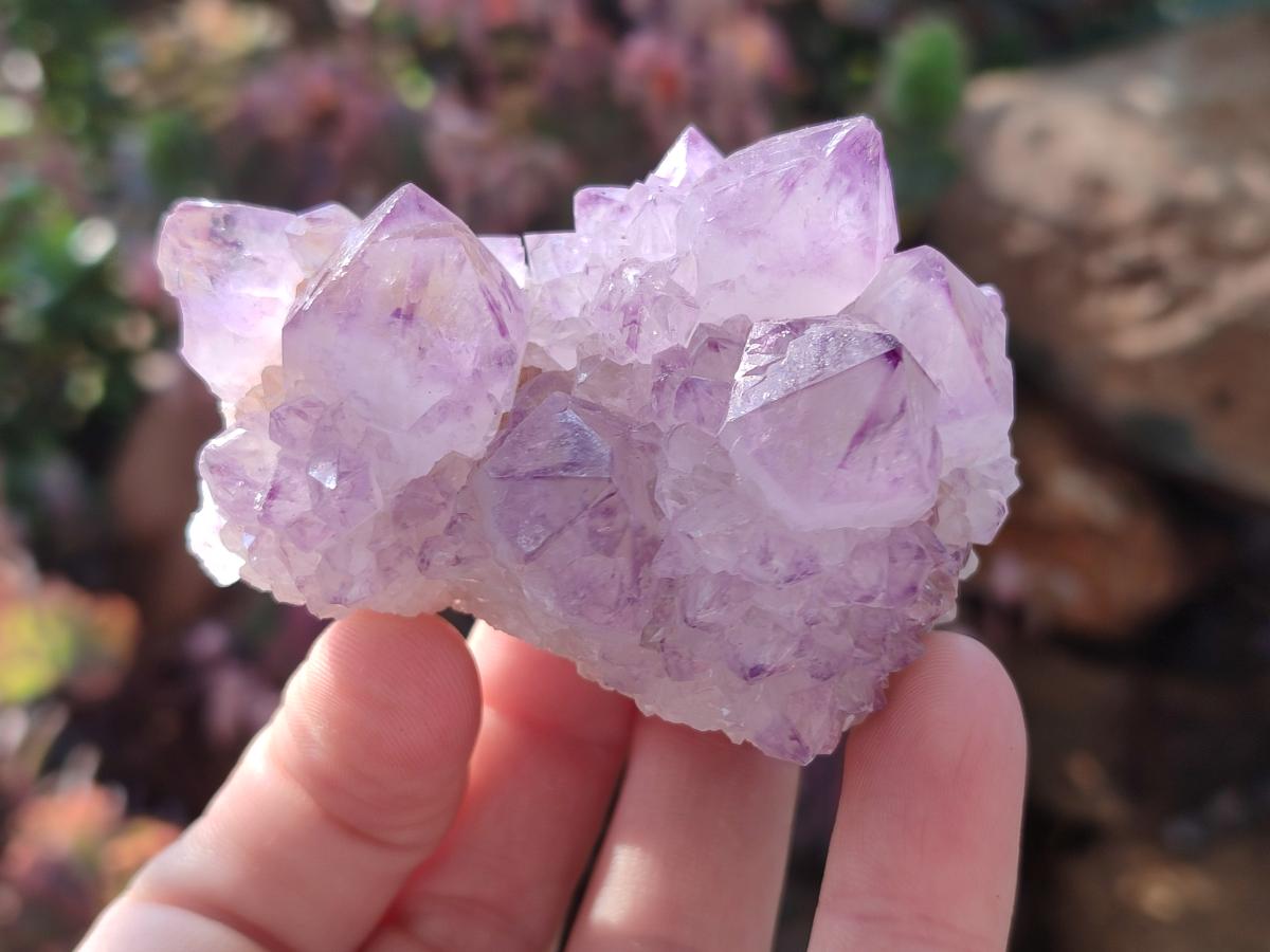 Natural Spirit Amethyst Clusters x 12 From Boekenhouthoek, South Africa