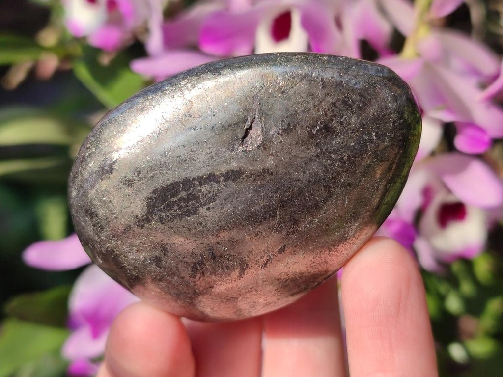 Polished Basalt Pharaoh Stone Free Forms x 6 From Iron Duke Mine, Zimbabwe