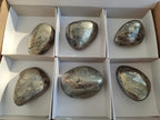 Polished Basalt Pharaoh Stone Free Forms x 6 From Iron Duke Mine, Zimbabwe