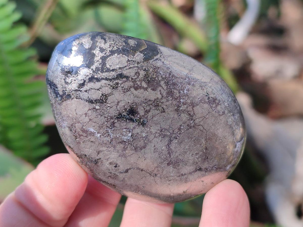 Polished Basalt Pharaoh Stone Free Forms x 6 From Iron Duke Mine, Zimbabwe