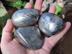 Polished Basalt Pharaoh Stone Free Forms x 6 From Iron Duke Mine, Zimbabwe
