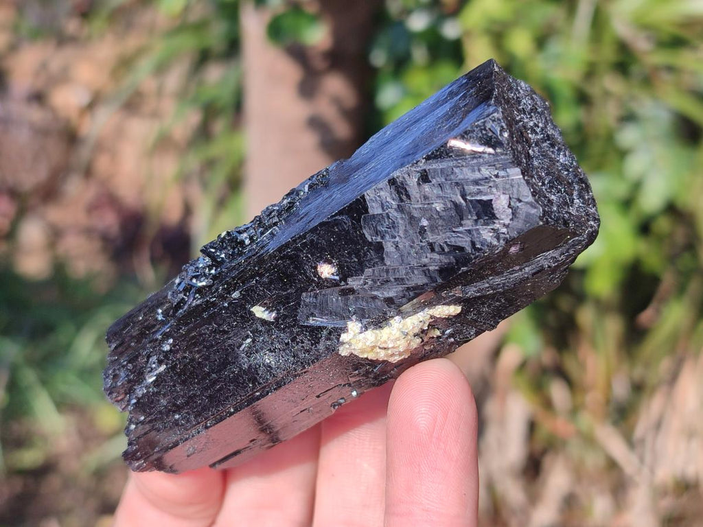 Natural Schorl Black Tourmaline Specimens x 6 From Erongo, Namibia