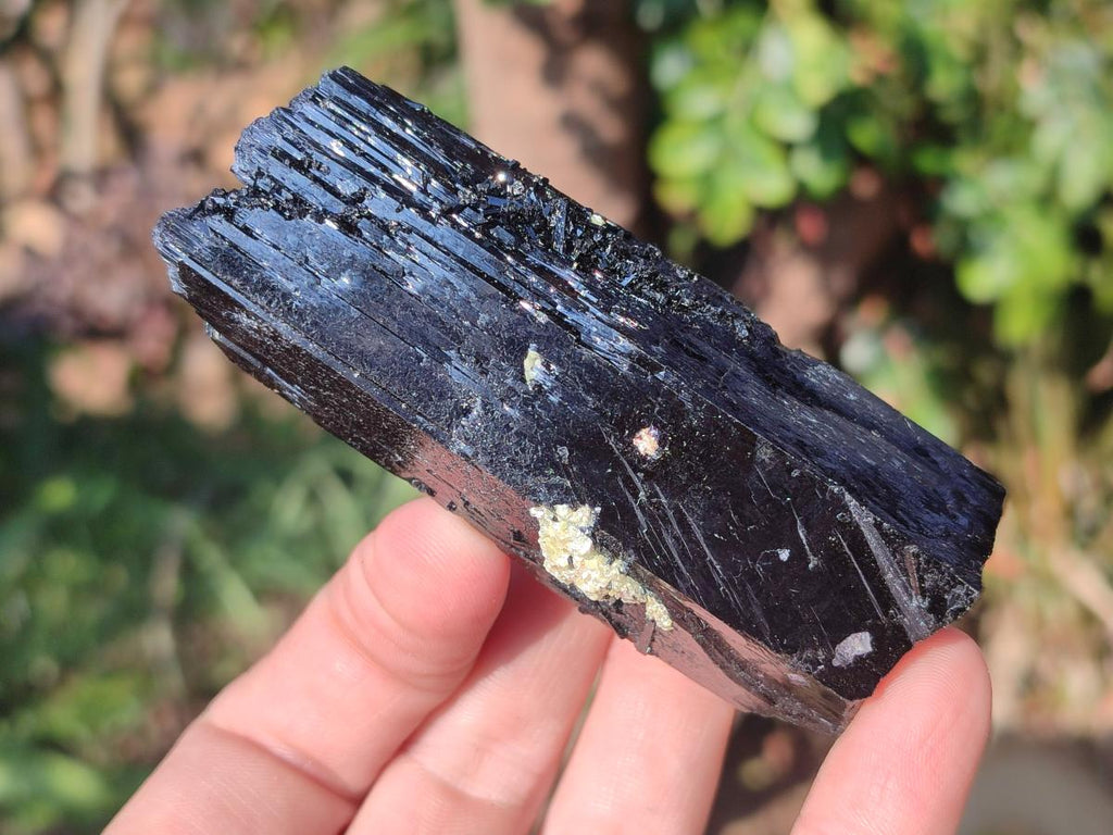 Natural Schorl Black Tourmaline Specimens x 6 From Erongo, Namibia