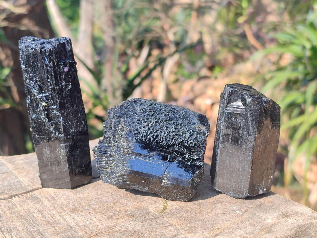 Natural Schorl Black Tourmaline Specimens x 6 From Erongo, Namibia
