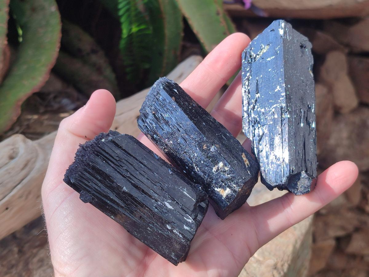 Natural Schorl Black Tourmaline Specimens x 6 From Erongo, Namibia