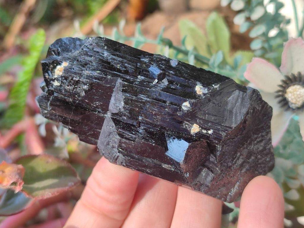 Natural Schorl Black Tourmaline Specimens x 6 From Erongo, Namibia
