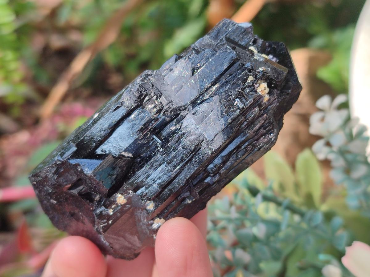 Natural Schorl Black Tourmaline Specimens x 6 From Erongo, Namibia