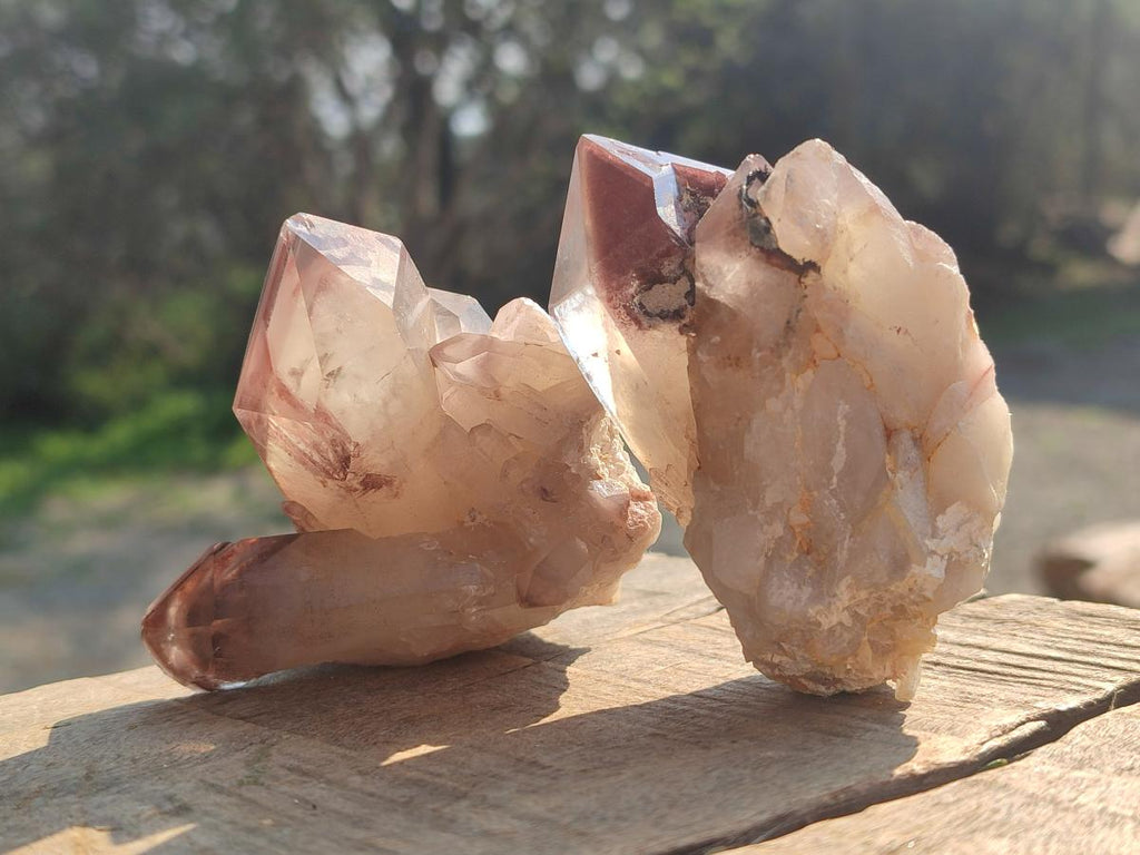Natural Red Hematoid Quartz Crystals and Clusters x 12 From Karoi, Zimbabwe
