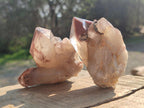 Natural Red Hematoid Quartz Crystals and Clusters x 12 From Karoi, Zimbabwe