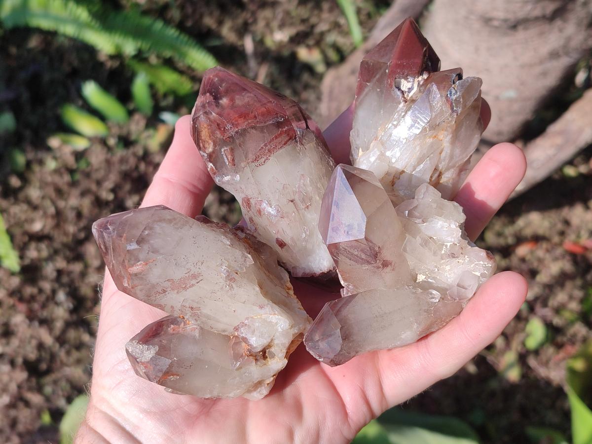 Natural Red Hematoid Quartz Crystals and Clusters x 12 From Karoi, Zimbabwe