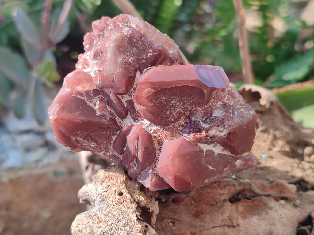 Natural Red Hematoid Quartz Crystals and Clusters x 12 From Karoi, Zimbabwe